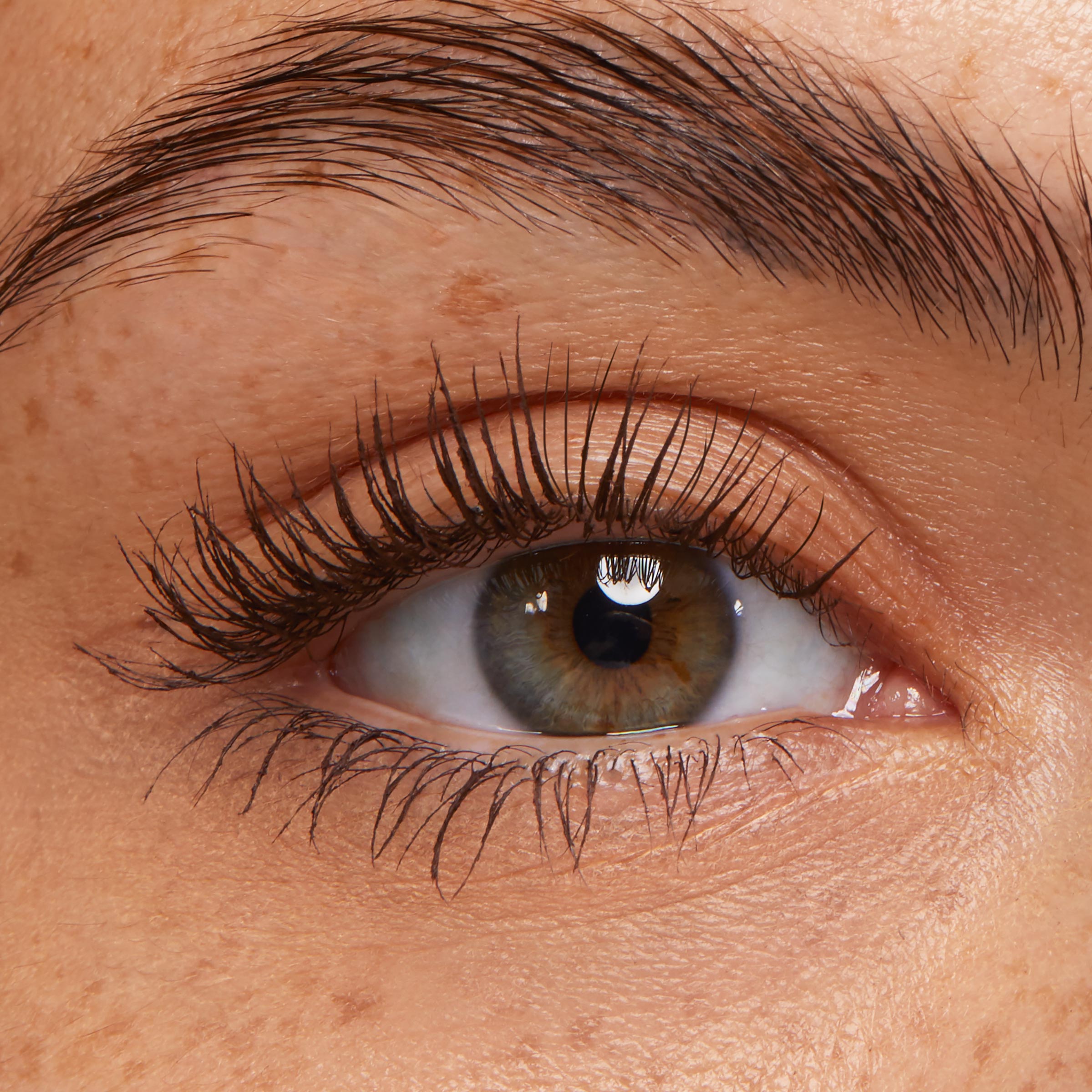 Brown - Image 3